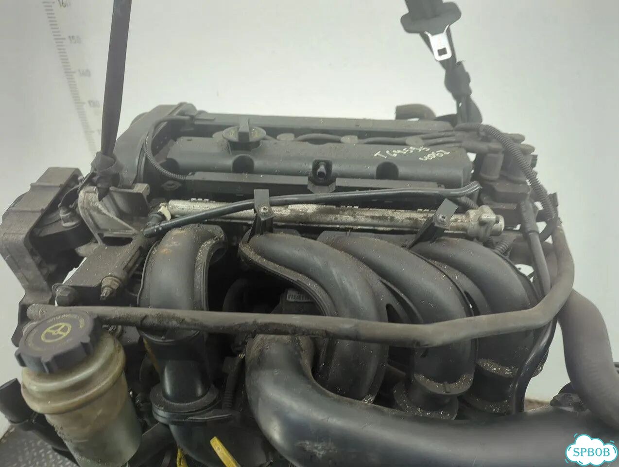 Двигатель Ford Focus 2 hwda, hwdb фото 3