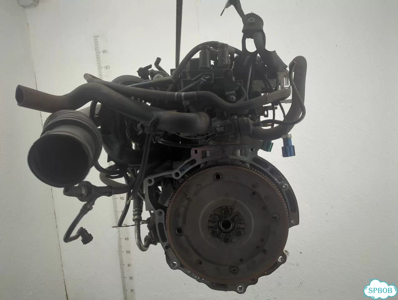 Двигатель Ford Focus 2 hwda, hwdb фото 4