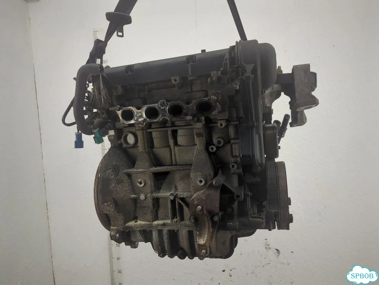 Двигатель Ford Focus 2 hwda, hwdb фото 5