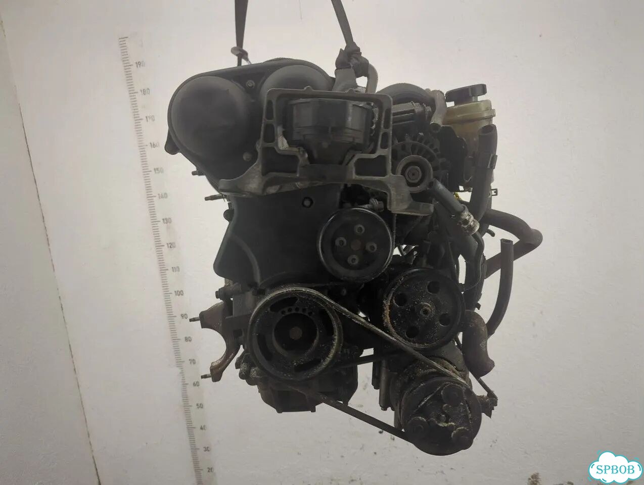 Двигатель Ford Focus 2 hwda, hwdb фото 6
