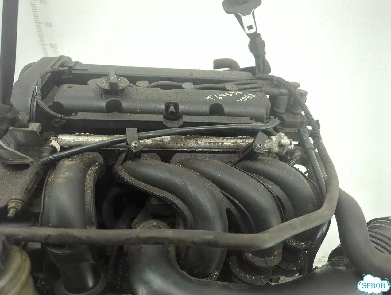Двигатель Ford Focus 2 hwda, hwdb фото 7