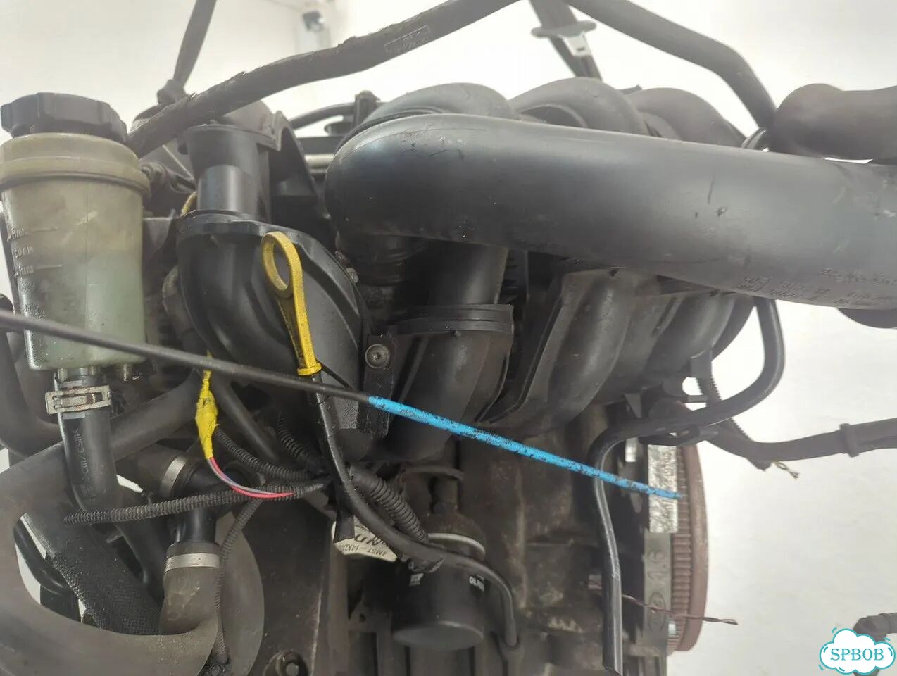 Двигатель Ford Focus 2 hwda, hwdb фото 9