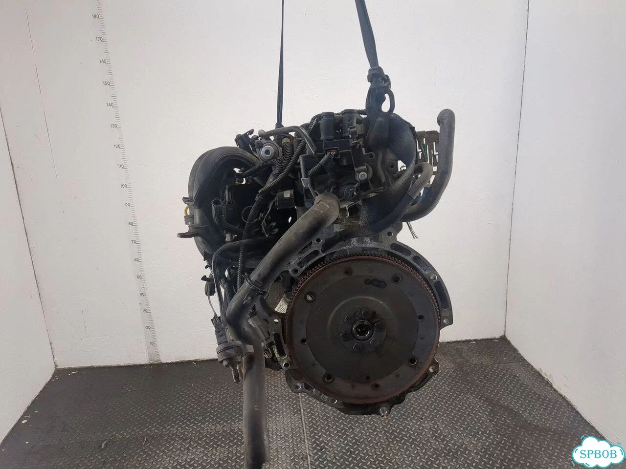 Двигатель Ford Focus 2 hwda, hwdb фото 4