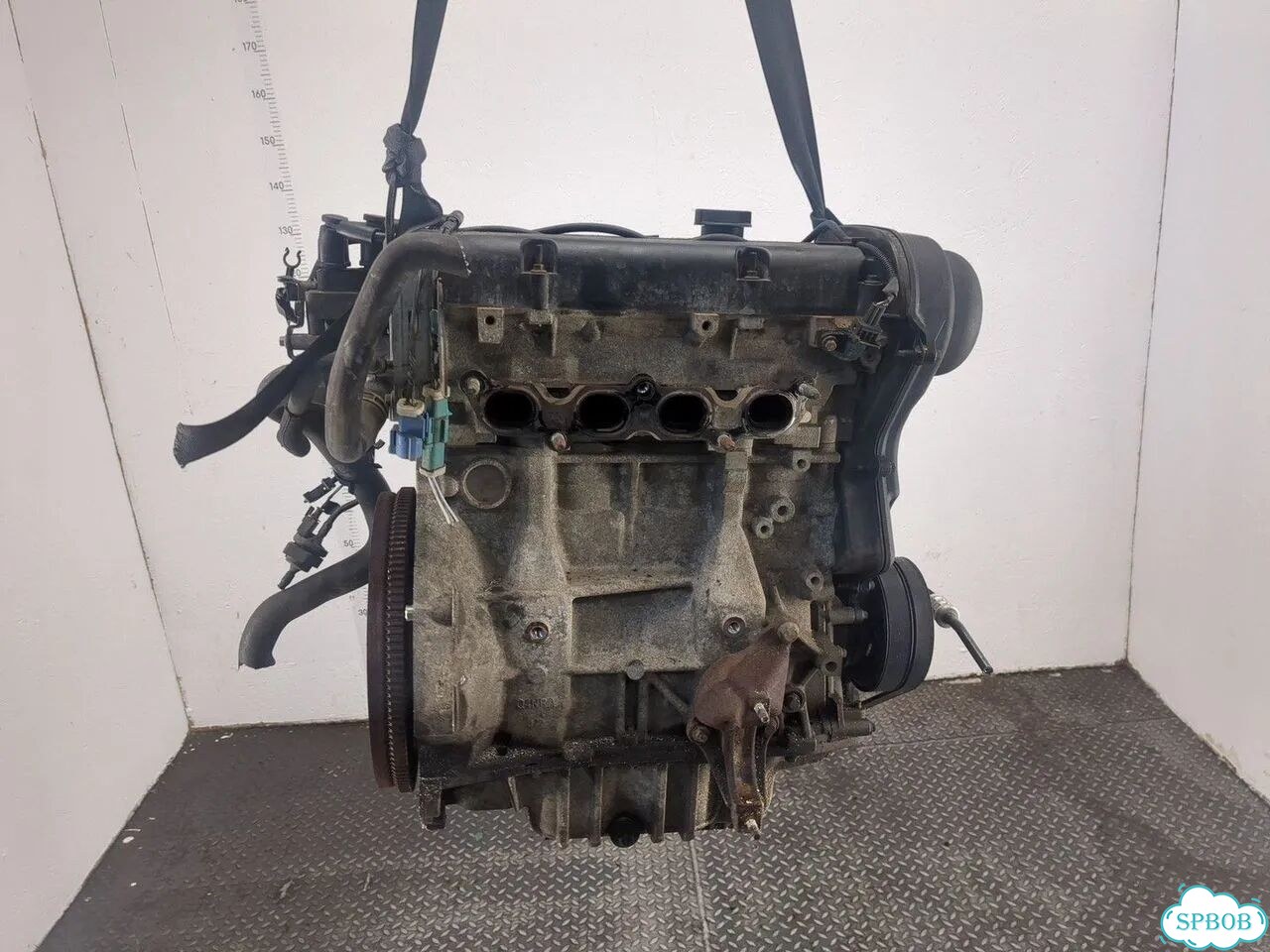Двигатель Ford Focus 2 hwda, hwdb фото 5