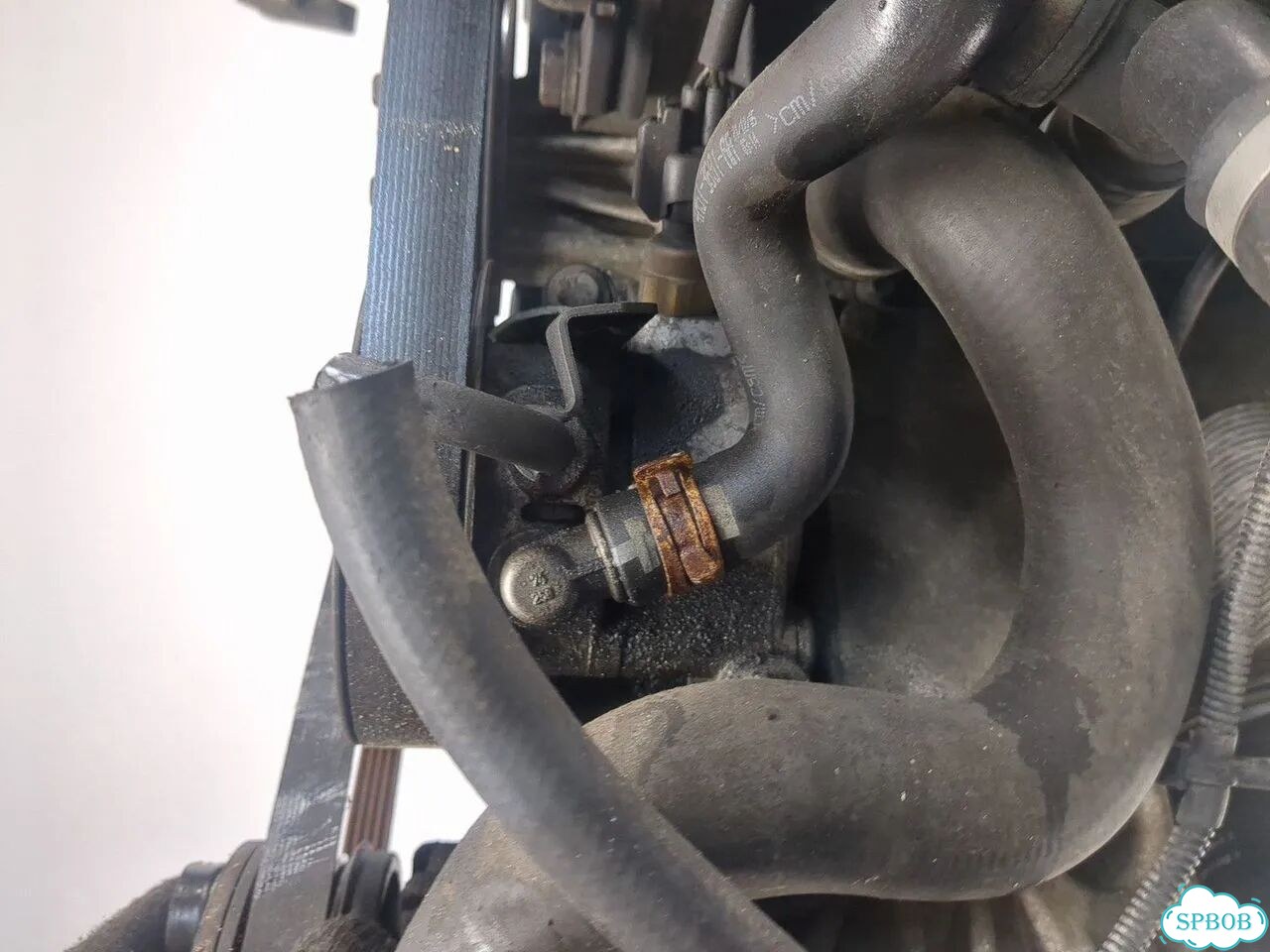 Двигатель Ford C-Max hxda фото 10