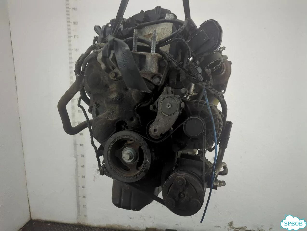 Двигатель Ford Focus 3 T1DB фото 10