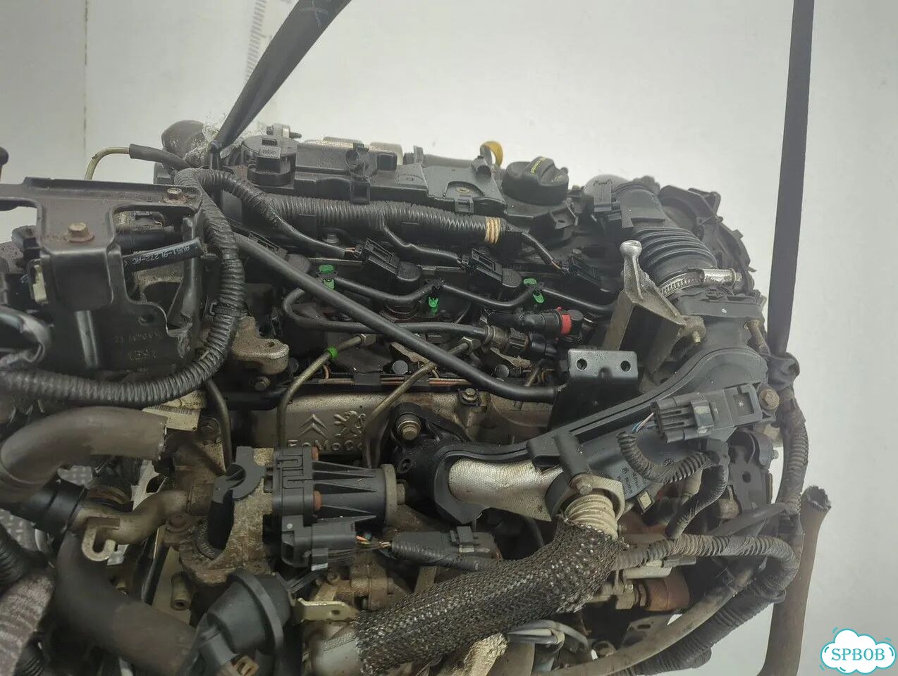 Двигатель Ford Focus 3 T1DB фото 11