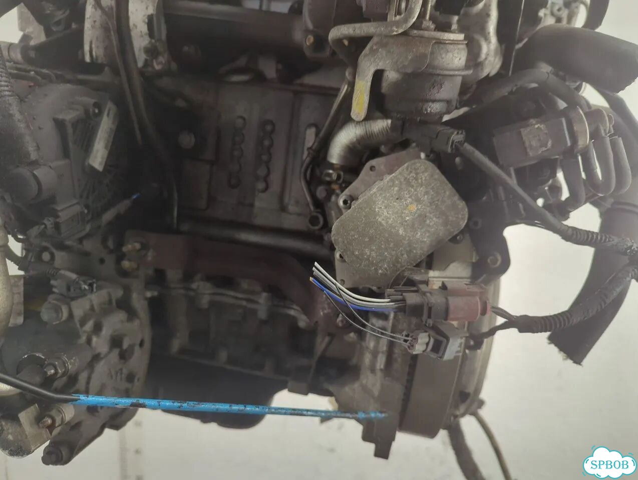 Двигатель Ford Focus 3 T1DB фото 4
