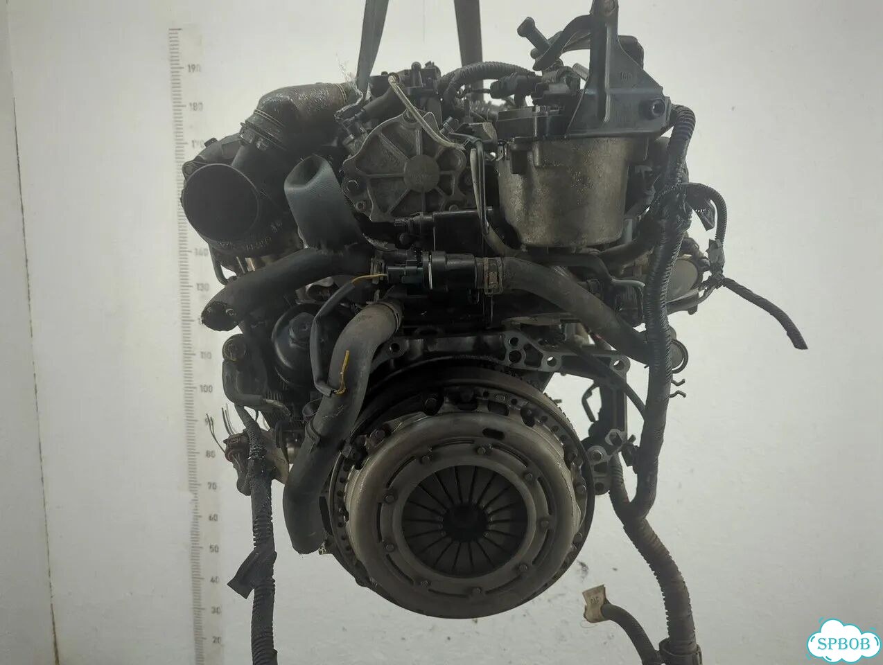 Двигатель Ford Focus 3 T1DB фото 8