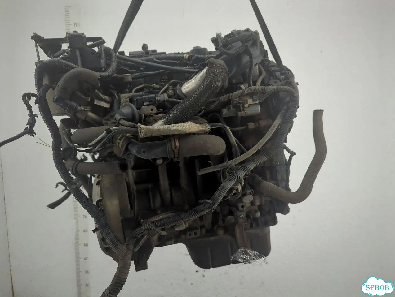 Двигатель Ford Focus 3 T1DB фото 9