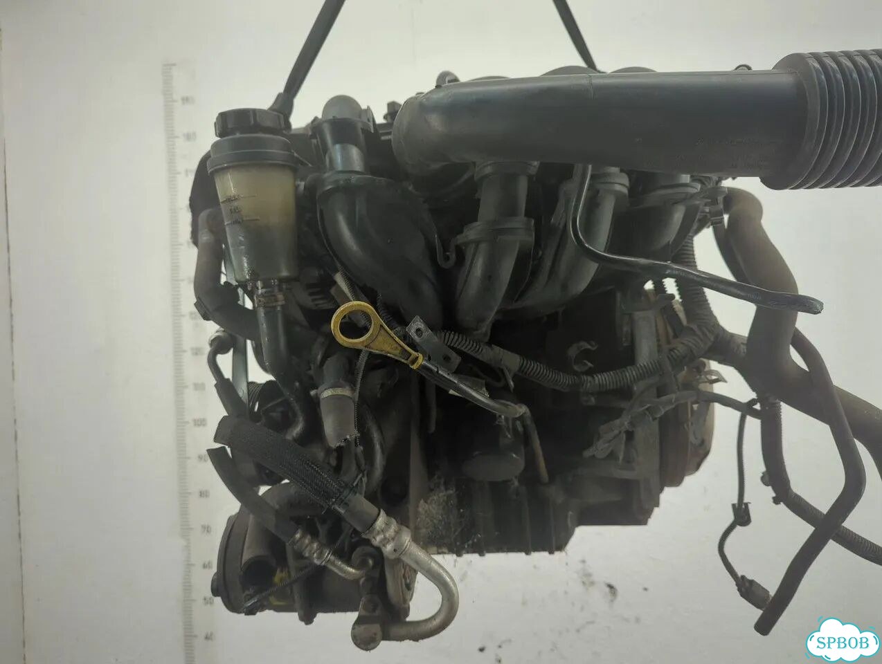 Двигатель Ford Focus 2 hwda, hwdb фото 1