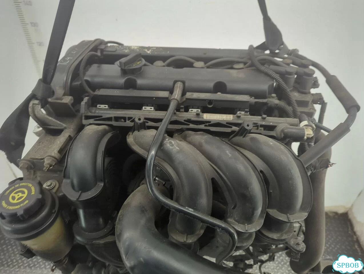 Двигатель Ford Focus 2 hwda, hwdb фото 3