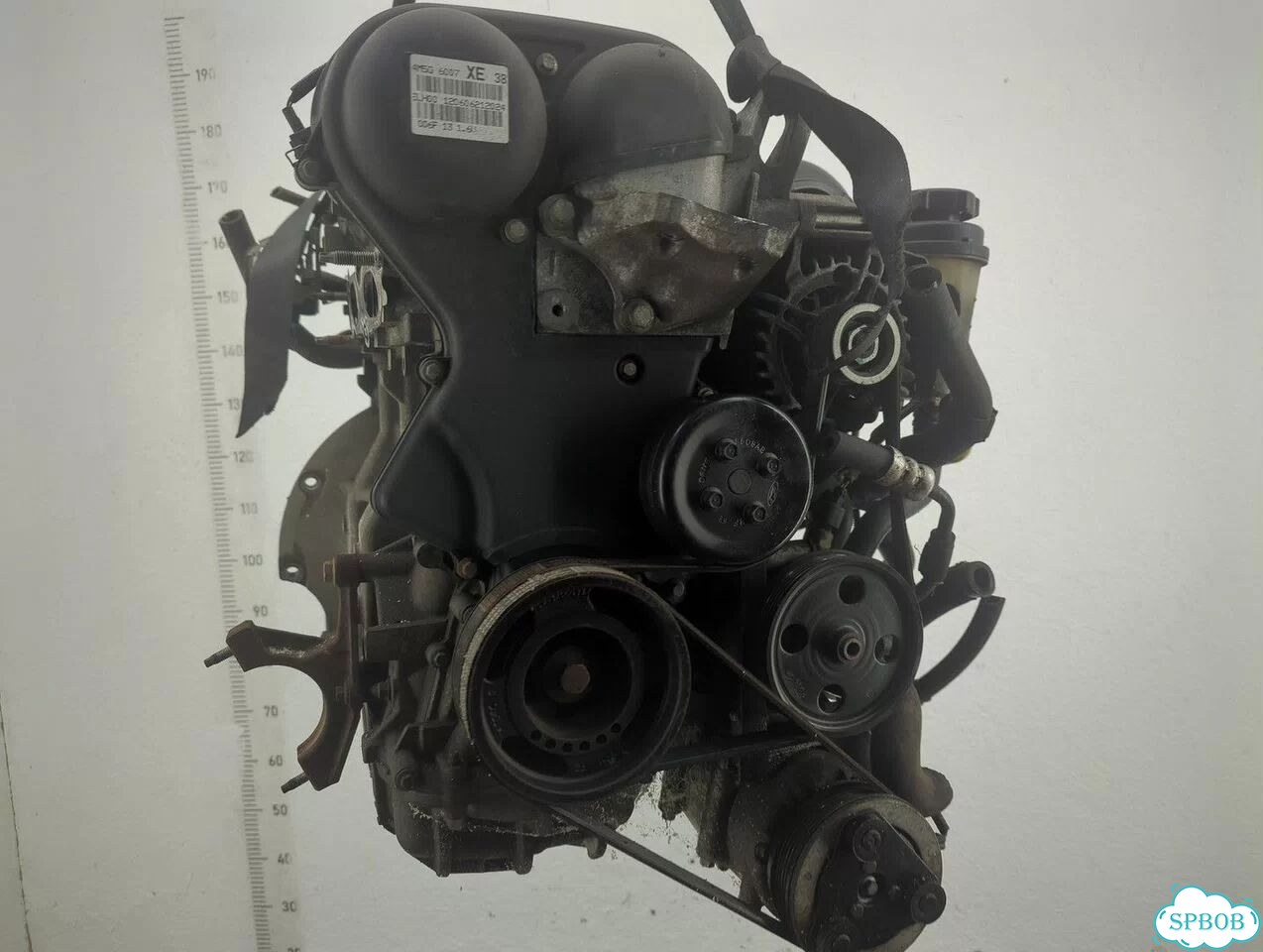 Двигатель Ford Focus 2 hwda, hwdb фото 6