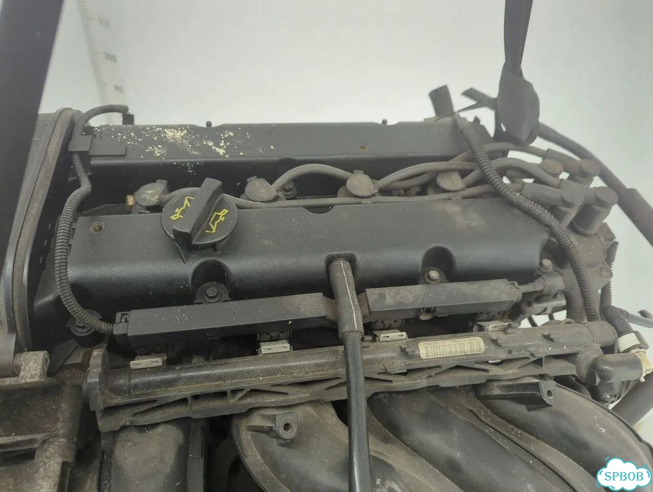 Двигатель Ford Focus 2 hwda, hwdb фото 8