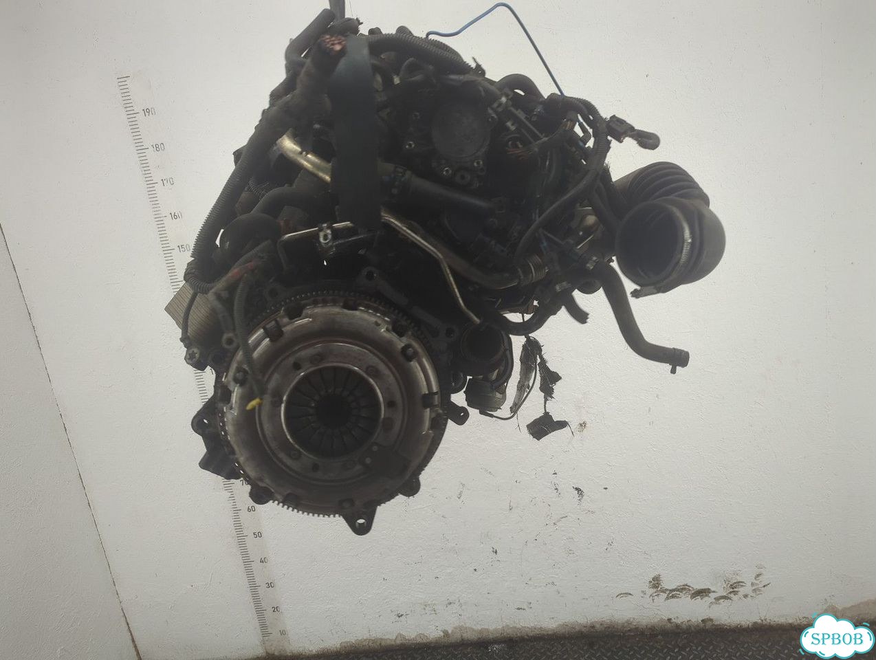 Двигатель Dodge Caliber ECD, ECE фото 4
