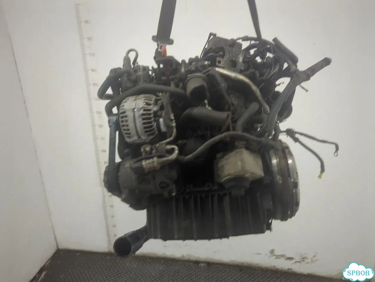 Двигатель Dodge Caliber ECD, ECE фото 5