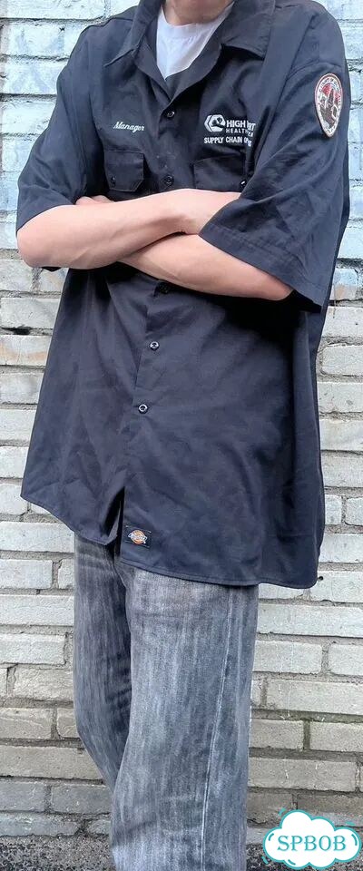 Dickies рубашка оверсайз фото 1
