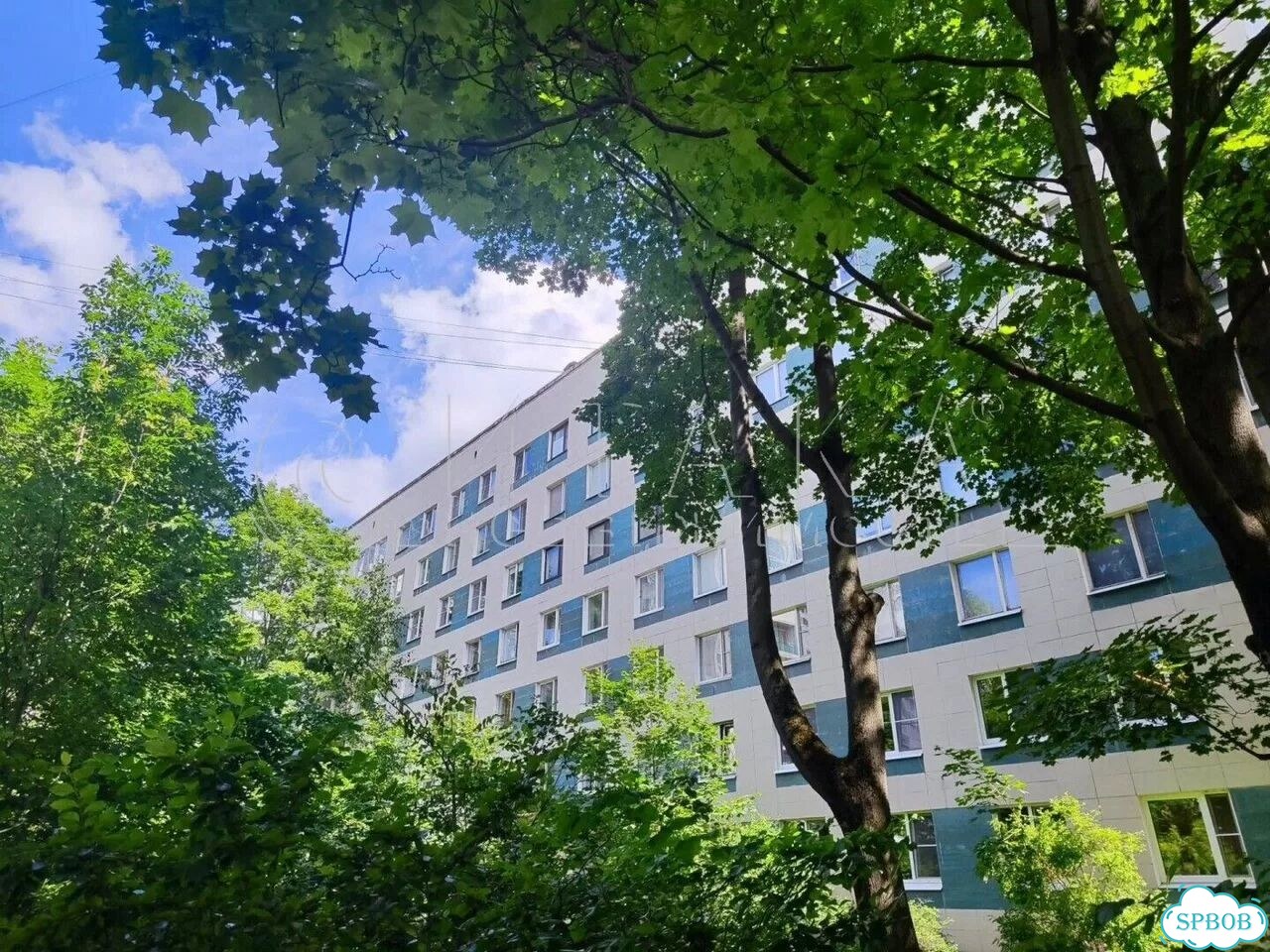 2-к. квартира, 49,3 м², 7/11 эт. фото 1