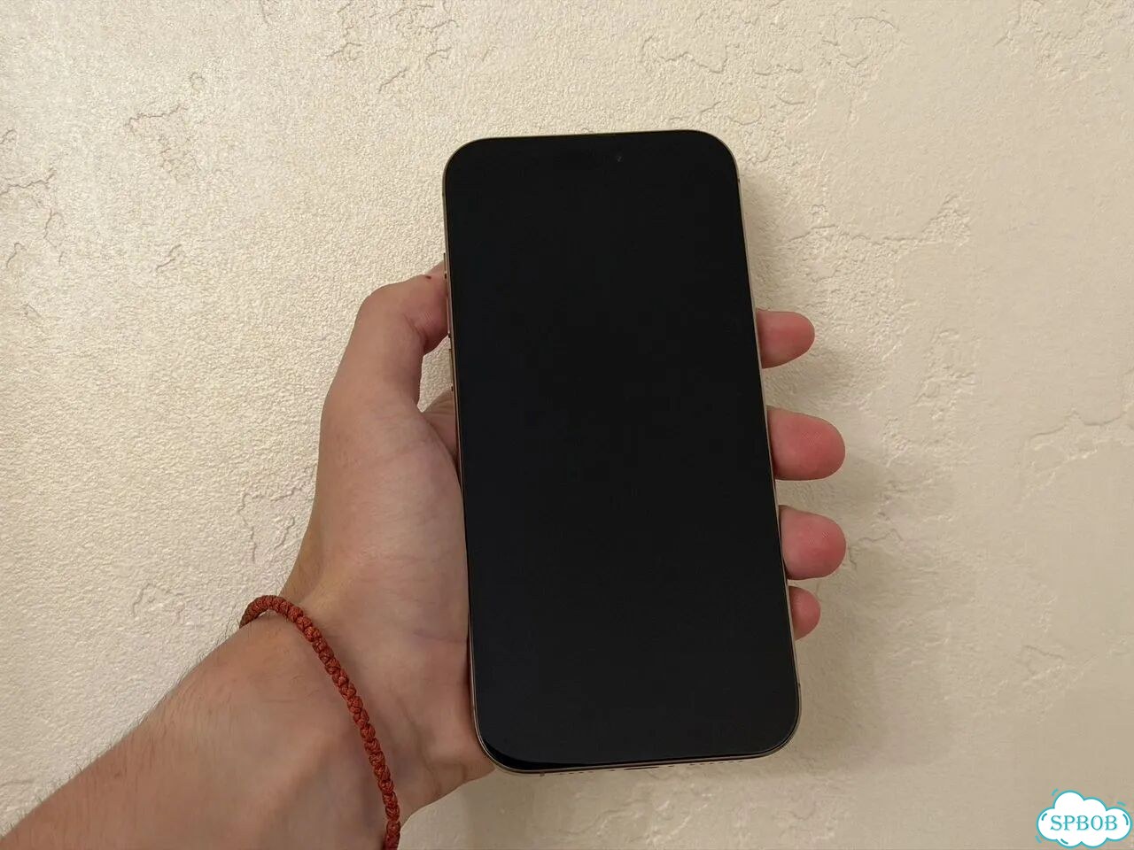 iPhone 16 Pro Max, 256 ГБ, SIM + eSIM фото 3
