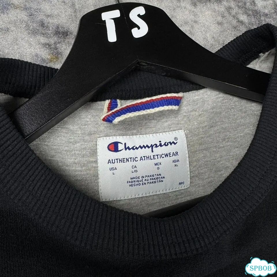 Свитшот Champion Calligraphic Logo C фото 4