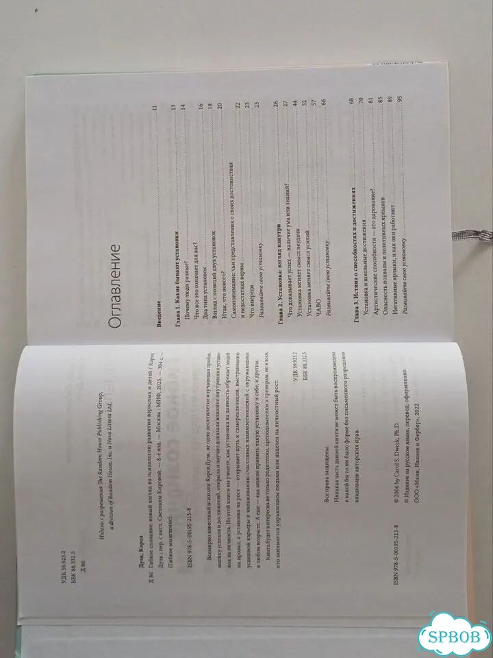 Гибкое сознание книга фото 2