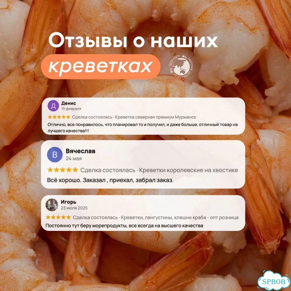 Креветка северная 90+, Мурманск фото 5