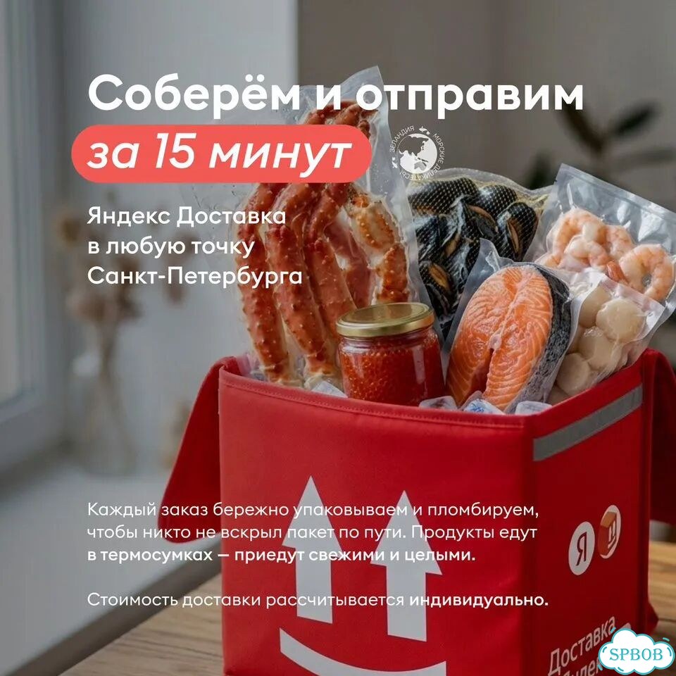 Креветка северная 90+, Мурманск фото 8