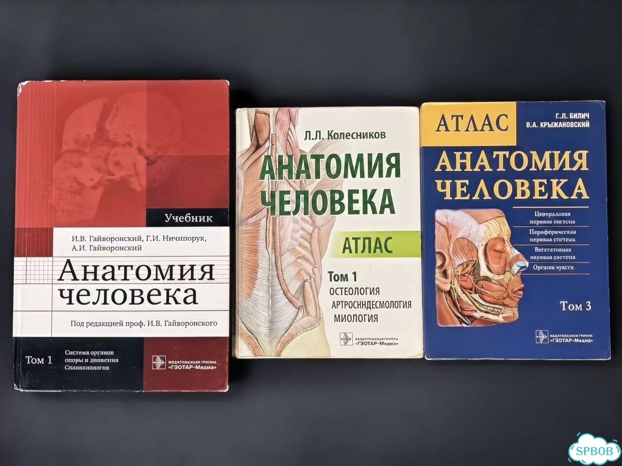 Анатомия человека фото 1
