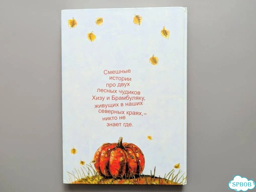 Детская книга «Хиза и Брамбуляка» Дмитрий Трубин фото 11