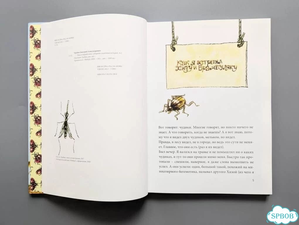 Детская книга «Хиза и Брамбуляка» Дмитрий Трубин фото 5