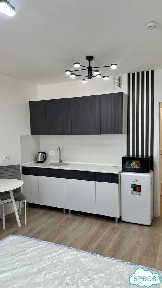 Квартира-студия, 22 м², 23/23 эт. фото 4