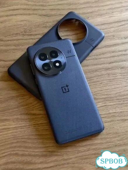 OnePlus 13, 12/256 ГБ, 2 SIM фото 1