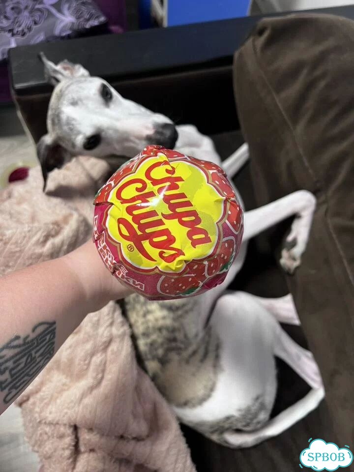 Chupa Chups «Мега» большой фото 1