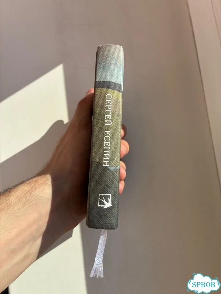 Книга «Сергей Есенин: стихотворения» фото 2