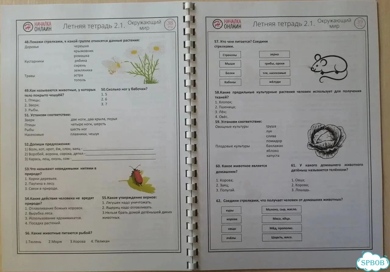 Летняя тетрадь будущего третьеклассника, две части фото 4