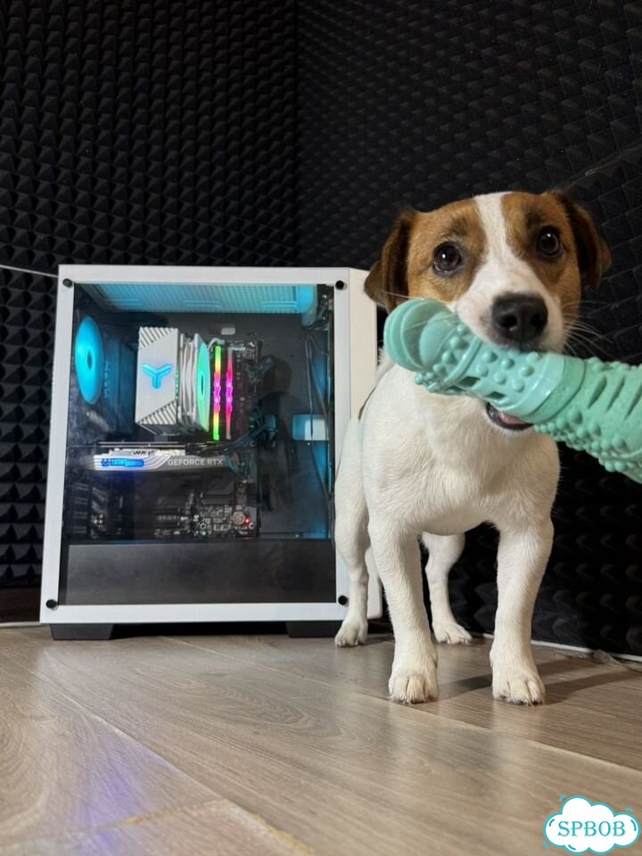 Игровой пк 4070/ddr5/i5 фото 1