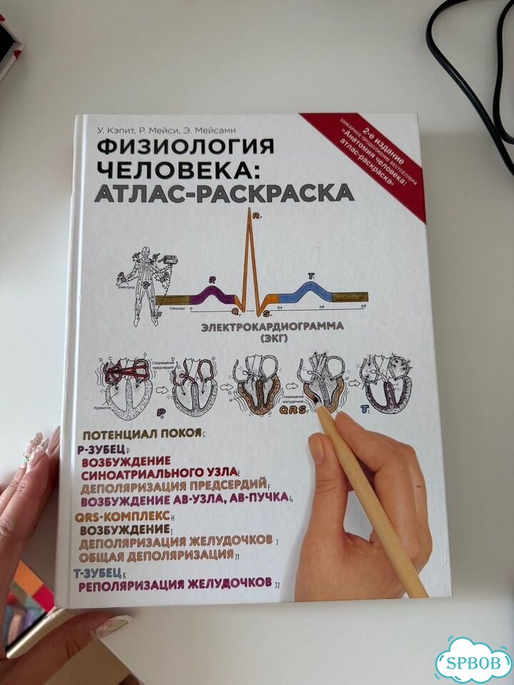 Атлас раскраска физиология человека фото 1
