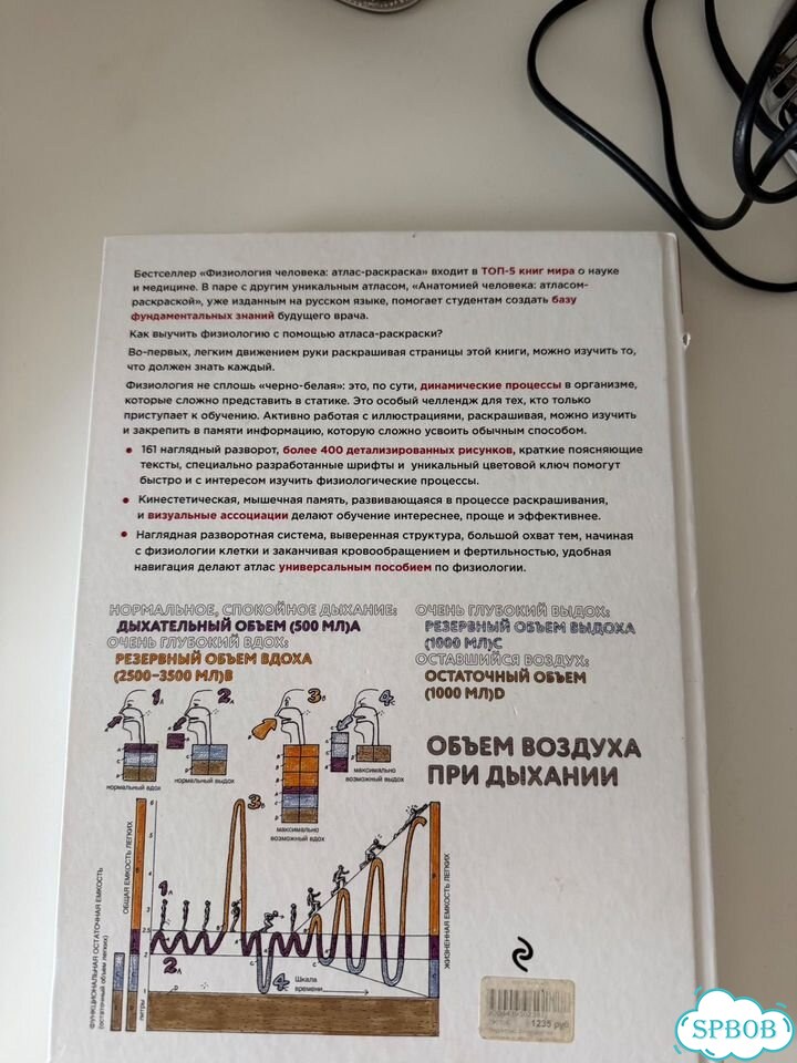 Атлас раскраска физиология человека фото 3
