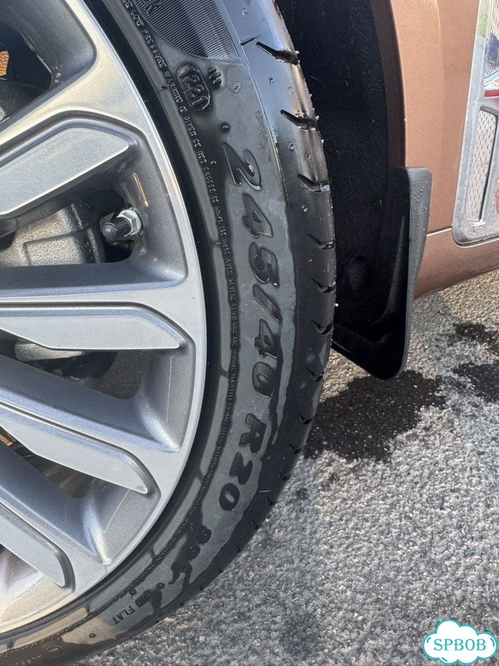 Pirelli P Zero 245/40 R20 фото 4
