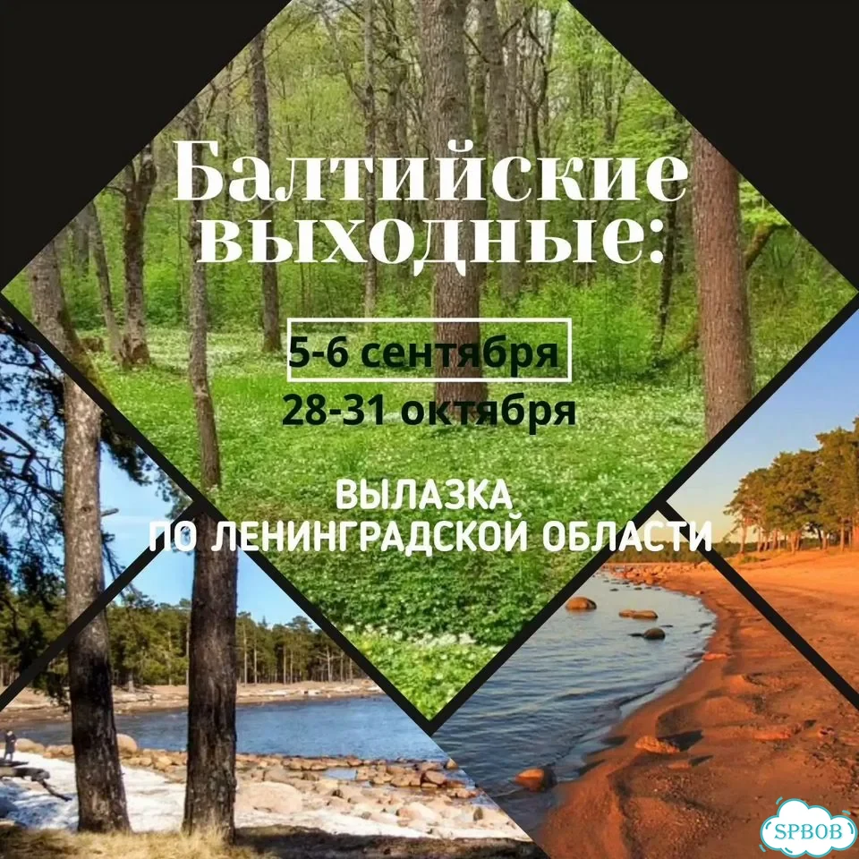 Тур выходного дня Ленинградская область фото 1