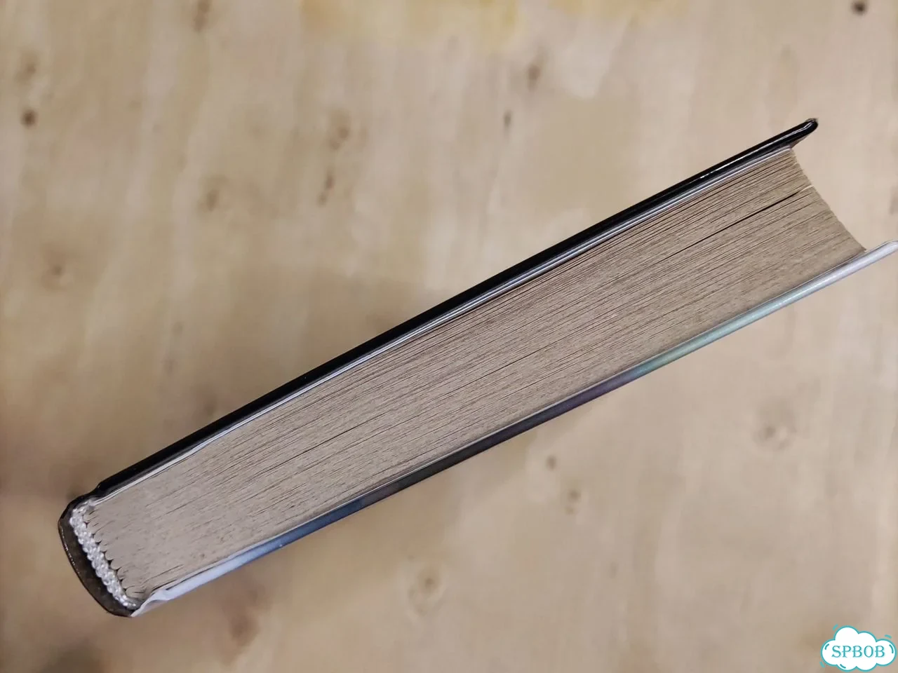 Книга Сергий Радонежский фото 4
