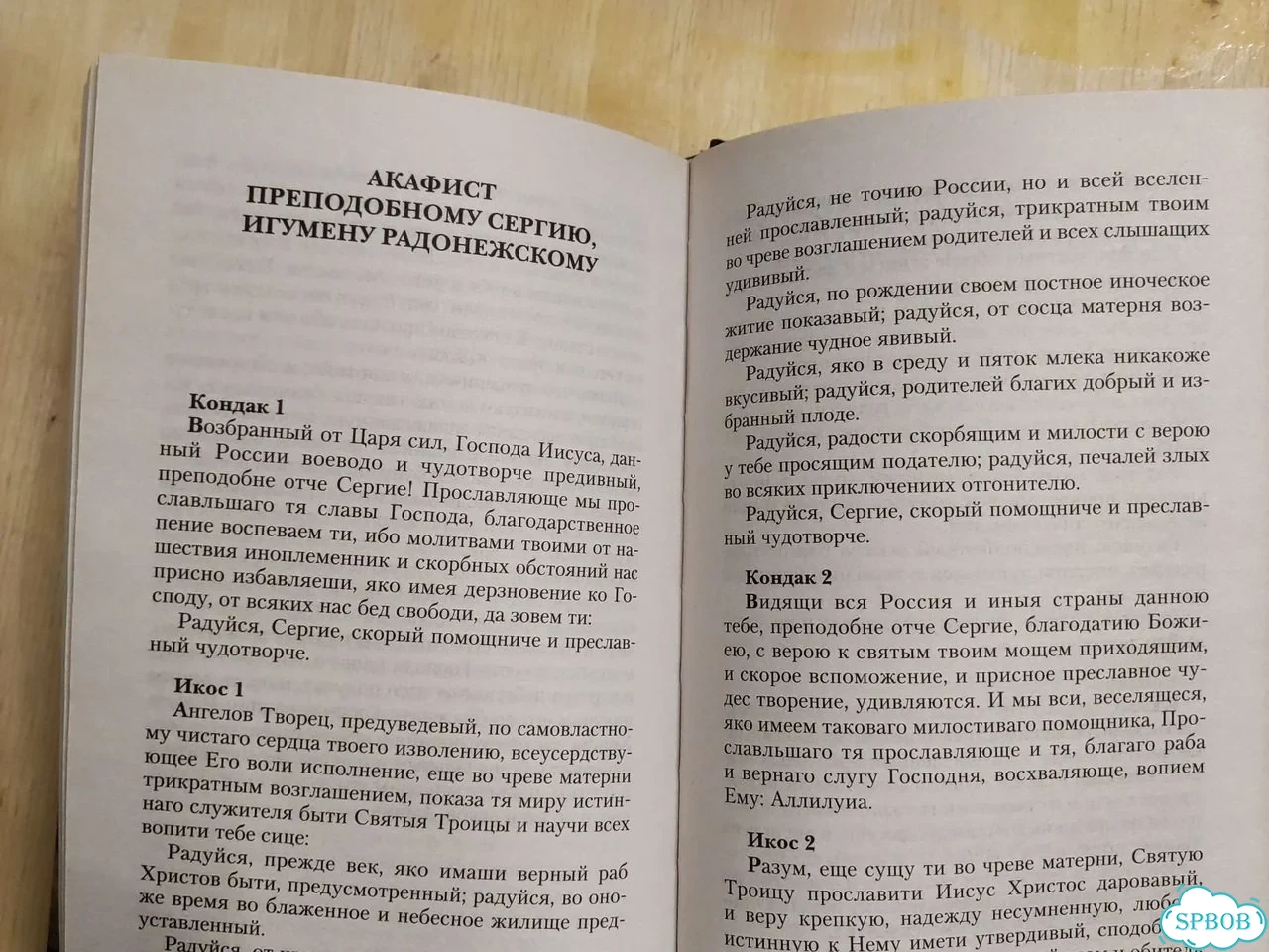 Книга Сергий Радонежский фото 9