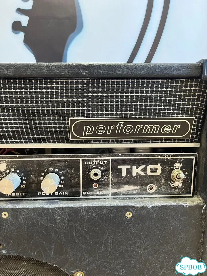 Кастомный ламповый комбо Peavey TKO 4хГ-807, 300W фото 5