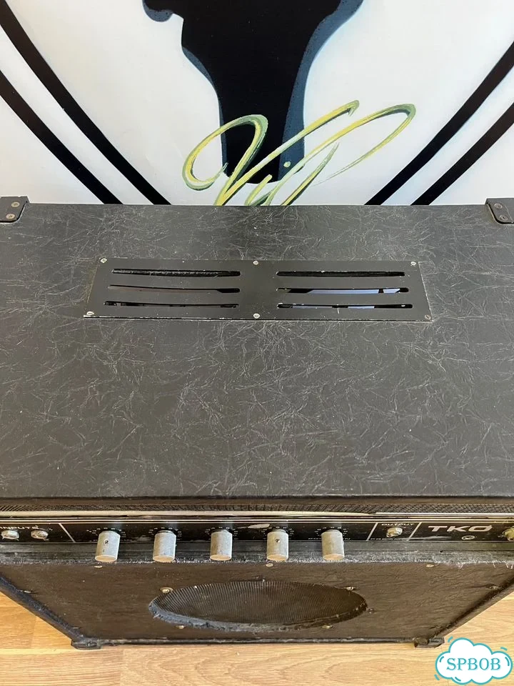 Кастомный ламповый комбо Peavey TKO 4хГ-807, 300W фото 6