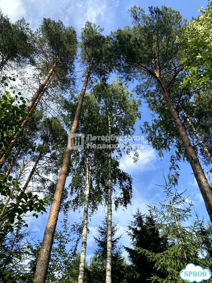 Участок 10,4 сот. (ИЖС) фото 7