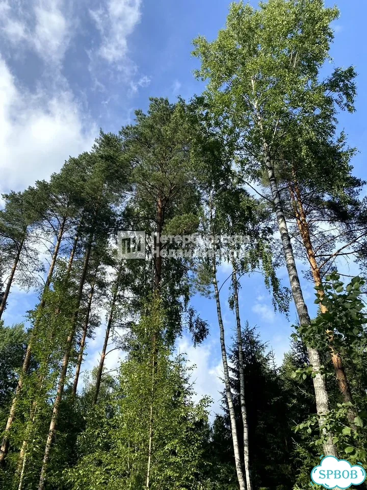 Участок 10,4 сот. (ИЖС) фото 9
