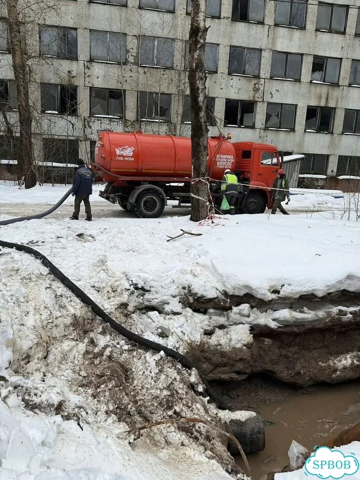 Ассенизатор для септика и выгребной ямы фото 2