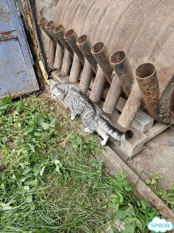 Печь бурельян бу фото 1