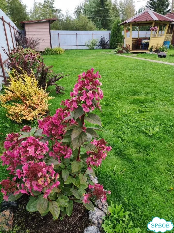 Дом 56 м² на участке 6 сот. фото 13