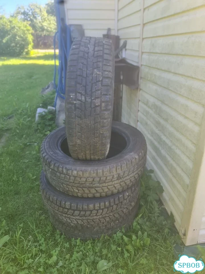 Dunlop SP Winter Ice 01 215/60 R17 фото 1